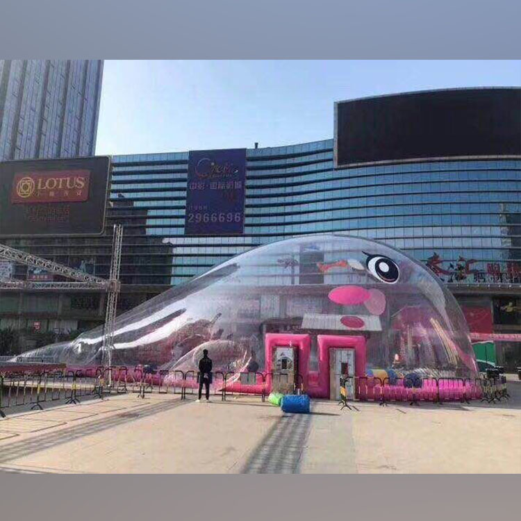 ����͸�������Ǳ�