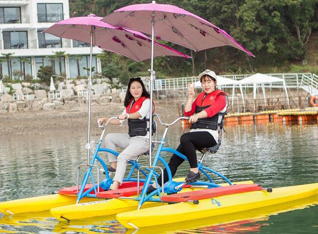 ˫��ˮ�����г��۸�