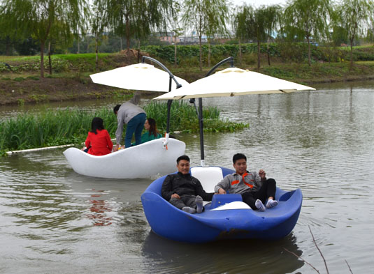 �������д�����